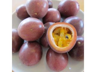 Condominium Resort Naha Living Inn Asahibashiekima - Vacation STAY 92447v - 2