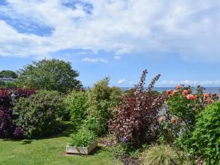 Palm Leas - E3587 - Ilfracombe - 2