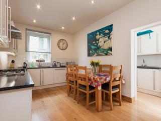 Oystercatcher - Kingswear - 4