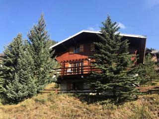 Chalet Chamois - Chalet année 70 ! Quartier calme - Superbe vue - Jardin MAE-8214 - Montgenèvre - 9