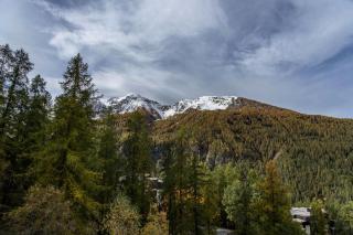 Résidence Les Ecrins - Studio au calme vue sur la forêt de Mélèzes 1650 MAE-9594 - Les Orres - 3