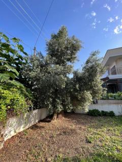 Peaceful, spacious and pristine home - Çeşme - 1