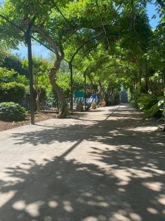 Villa Marino in Aurora - Capri - 7