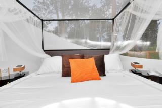 Romantic Escapes for Two in this Luxury Bubble near Houston, Texas - Cleveland - 1