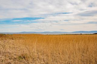 Wild Atlantic Way Retreat by Shortstays - 5