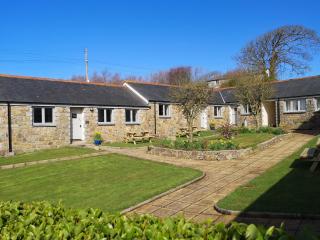 Elm - 31304 - Porthtowan - 4