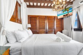 Spacious Apartment in the Heart of San Juan - San Juan - 2
