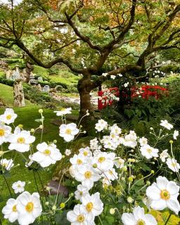 Pure Heart Cottage - Cottered - 4