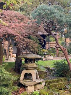Pure Heart Cottage - Cottered - 2