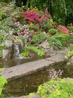 Pure Heart Cottage - Cottered - 3