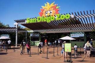 Charming South Park Home - Close Zoo & Balboa Park - San Diego - 5