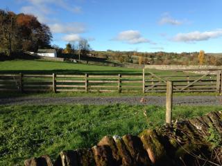 Mews Cottage - Bampton - 1