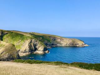 Sea Thrift - Port Isaac - 8