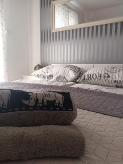 Apartman Natalija - Privlaka - 9