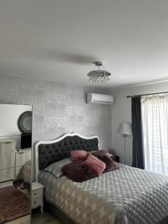 H pipera - Voluntari - 4