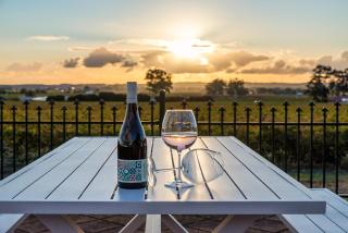 McGill Vineyard Barossa - Lights Pass - 1