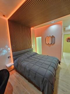 Borghese Affittacamere suite inalpi arena - Torino - 7
