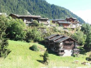 Résidence Les Clarines - 4 Pièces pour 8 Personnes MAE-3297 - Champagny-en-Vanoise - 1