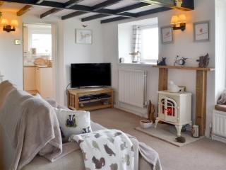 Salem Fach - Hw7587 - Llanrhwydrys - 8