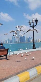 Lunar Beach Hostel - Abu Dhabi - 9