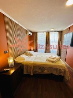 Exclusivo en Providencia, turístico y ejecutivo - Santiago - 5