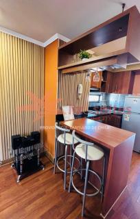Exclusivo en Providencia, turístico y ejecutivo - Santiago - 2