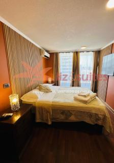 Exclusivo en Providencia, turístico y ejecutivo - Santiago - 7