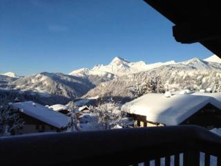 Résidence Le Maseto - Charmant Chalet, ski aux pieds MAE-2884 - Notre-Dame-de-Bellecombe - 5