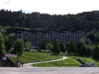 Résidence Les Aloubiers - Chaleureux trois pièces au pied des pistes MAE-3504 - Villard-de-Lans - 8