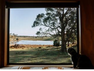 Cosy Off-Grid Cabin with Lake View Pet Friendly - Galeb - - 8
