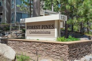 Raccoon Roost condo - Incline Village - 0