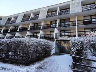 Résidence Bois Des Coqs - Studio rénové avec casier à skis · Cœur de station · Parking extérieur MAE-0264 - Champcella - 3