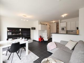 Apartment with 2 rooms and balcony - Oostduinkerke - 3