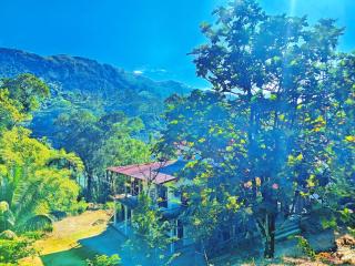 Sun City Family Inn - Hatton - 5