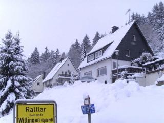 Holiday apartment near Willingen - - 0