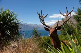 11 Aspen Grove - Stunning Lake Views and Spa Pool - Queenstown - 8