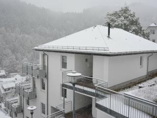 1 bedroom apartment - Willingen - 7