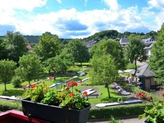 Apartment on the 1st floor near Willingen - Willingen - 0