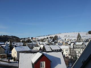 Apartment on the 1st floor near Willingen - Willingen - 1