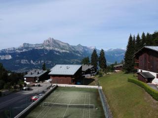 Résidence Ecrin Des Glaciers Daim - Ecrin des Glaciers D41 MAE-6334 - 1