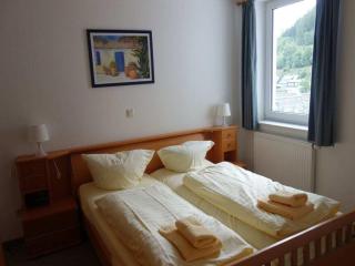 Apartment near the Hessian mountains - Willingen - 4