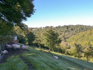 Woodland Retreat - Washaway - 6