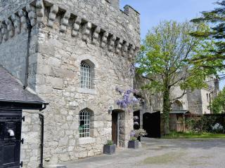 Hen Wrych Hall Tower - Abergele - 9