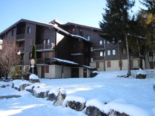 Résidence Les Roches - Joli petit studio bien équipé MAE-9254 - La Plagne Tarentaise - 2