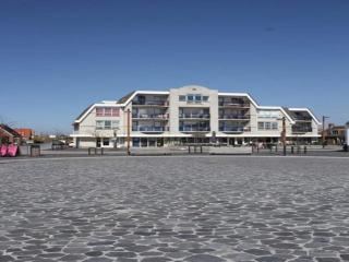 Holiday home in Petten with dunes view - Petten - 0