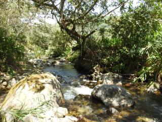 Frech lodge - Oxapampa - 8