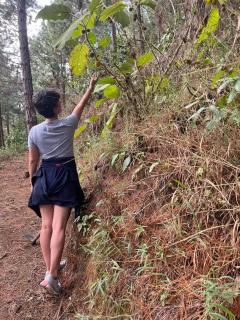 Frech lodge - Oxapampa - 6