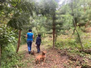 Frech lodge - Oxapampa - 4