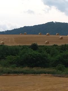 Daramusara - Vacation STAY 13520 - Furano - 1