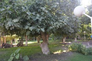 Casa quinta soñada - 4